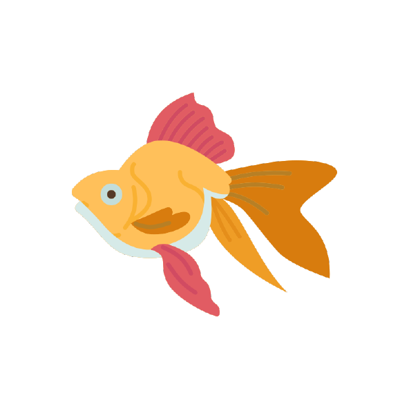 Shop Sydney Exotic Aquariums